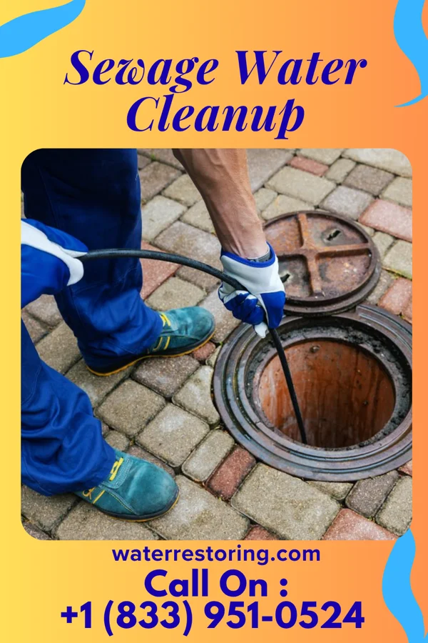 Sewage Water Cleanup in McCool, MS